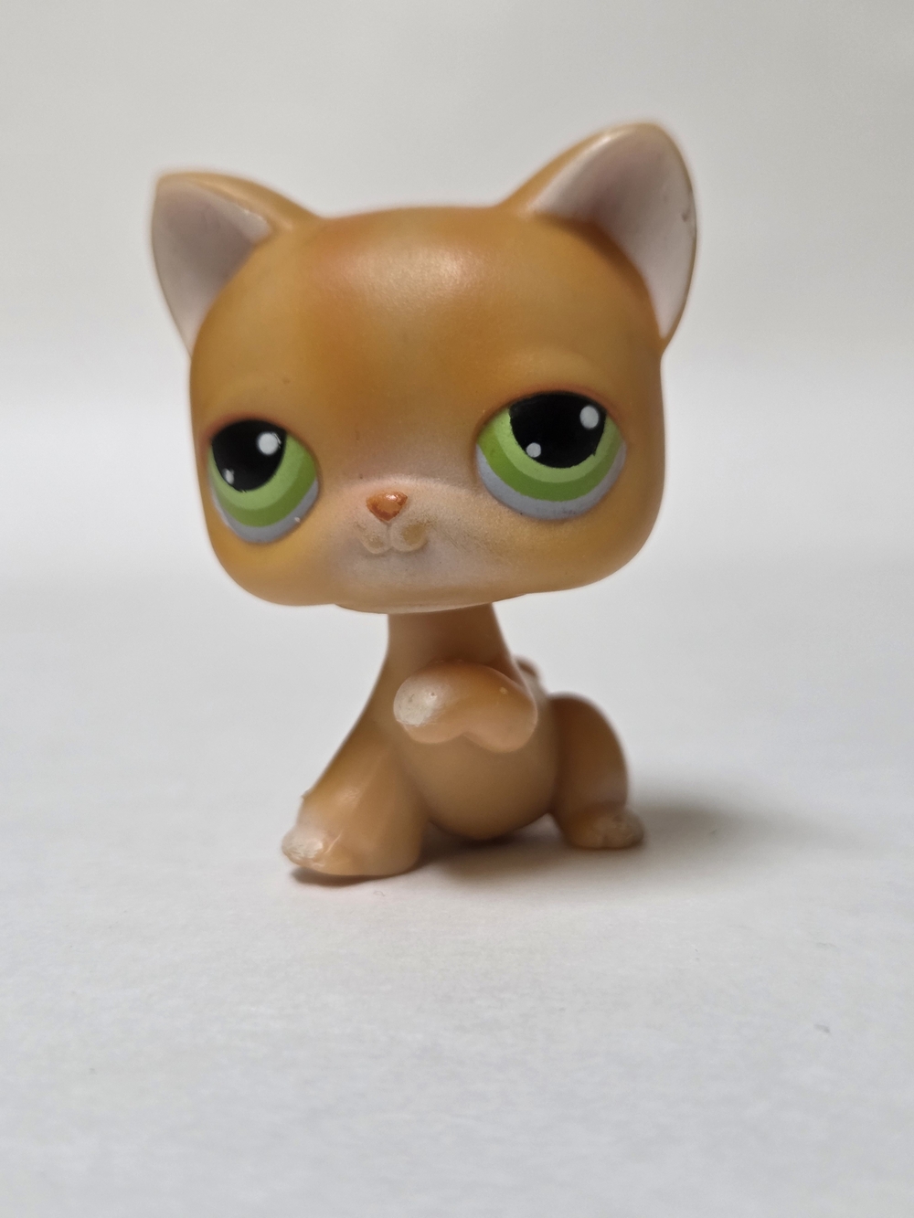 Littlest Pet Shop #11 Cat Orange Shorthair Authentic Hasbro LPS